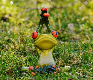 frog-1109784